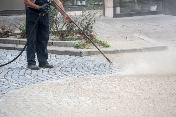 Best Driveway Pressure Washing  in Jonesboro, IN